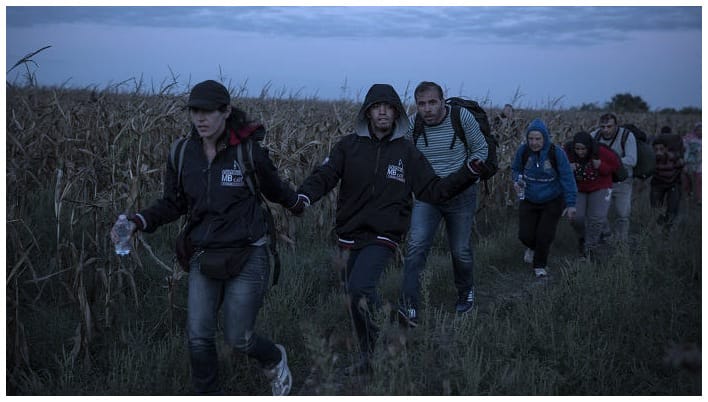 مأساة جديدة.. لاجئون عالقون وسط جزيرة على الحدود التركية اليونانية