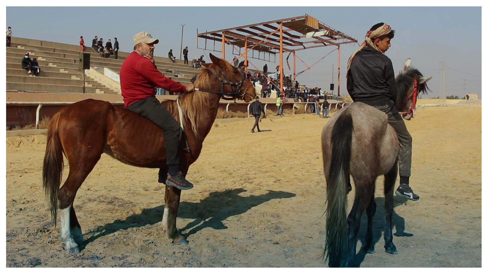 الثاني من نوعه.. مدينة الفروسية في الرقة تستضيف سباقاً للخيول العربية الأصيلة (فيديو)