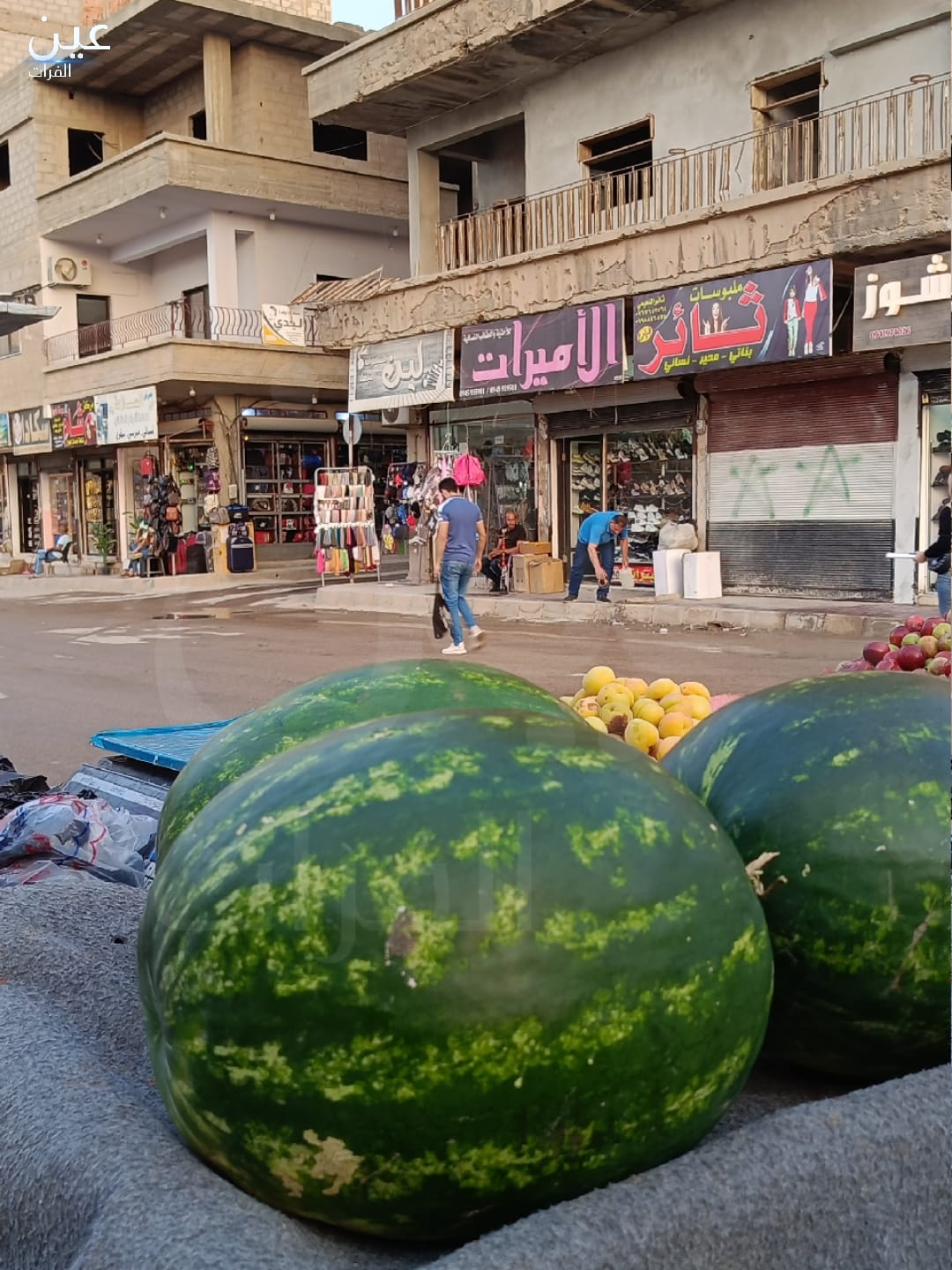 ارتفاع أسعار الفواكه الصيفية في مدينة دير الزور بسبب ممارسات حواجز النظام