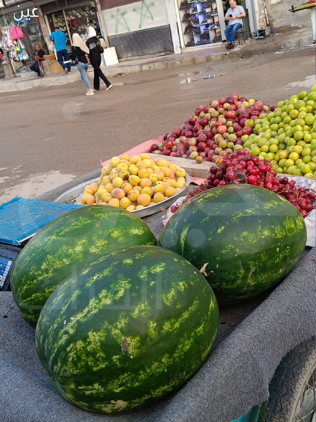 ارتفاع أسعار الفواكه الصيفية في مدينة دير الزور بسبب ممارسات حواجز النظام