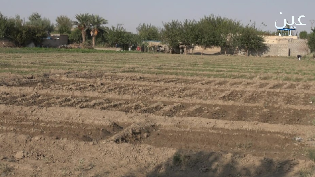 اللجنة الزراعة التابعة لـ قسد لا تلقي بالاً لمشاكل مزارعي قرية حمار العلي
