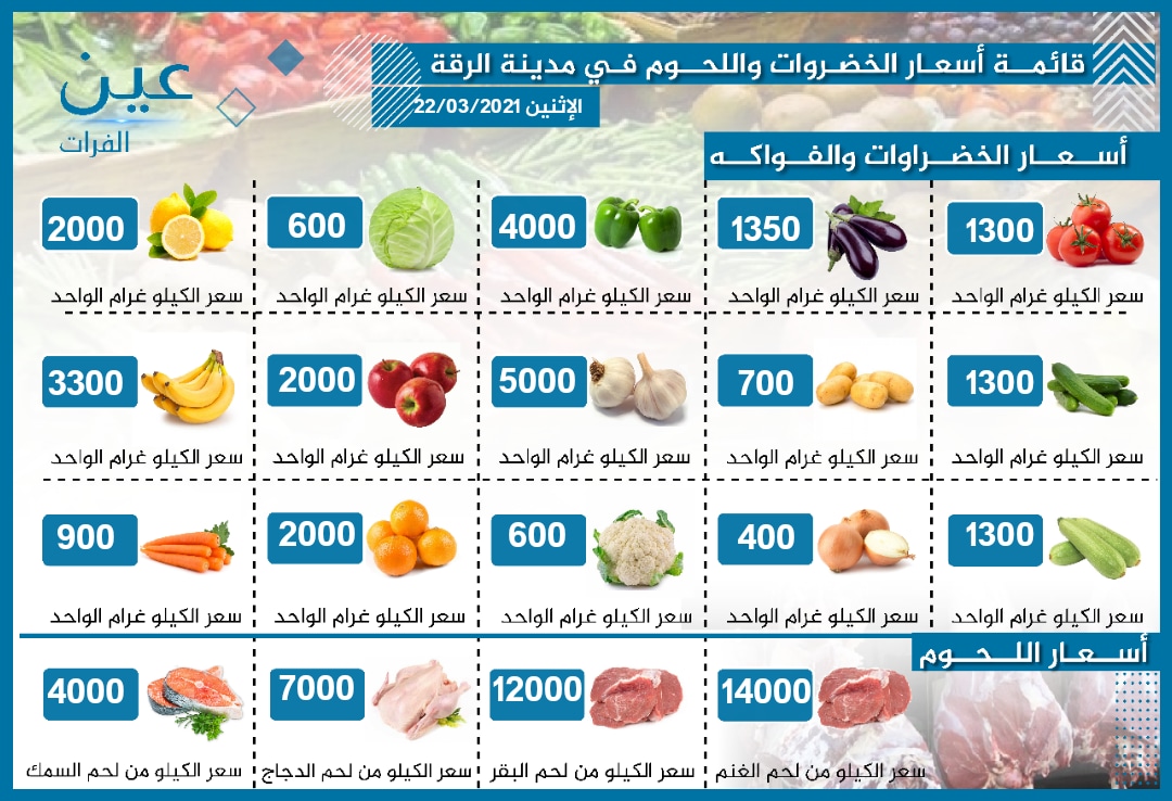 أسعار الخضار والفواكه واللحوم بمدينة الرقة